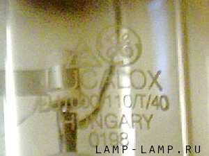 Lamp Details